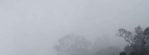 快乐罗盘